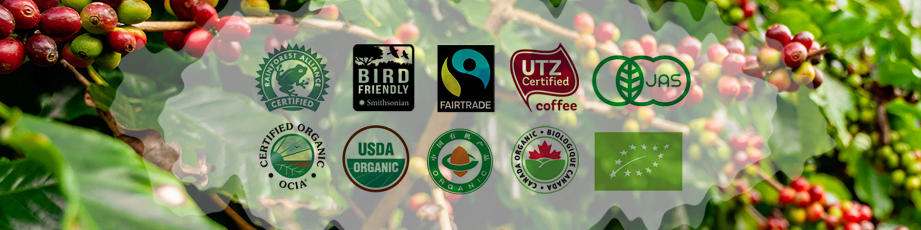 An Easy Guide to Coffee Certification