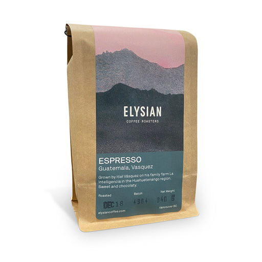 Elysian Coffee Roasters - Guatemala, Vasquez Espresso - Medium Roast (340 g)