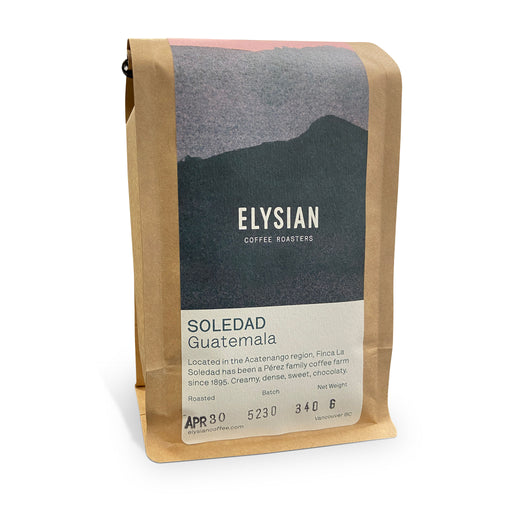 Elysian Coffee Roasters - Soledad, Guatemala - Medium Roast (340 g)