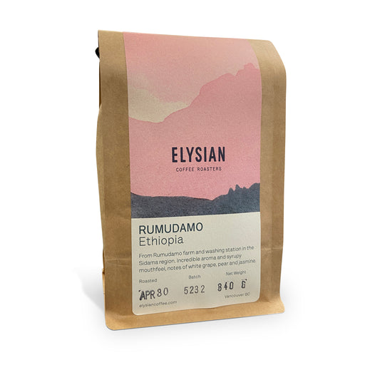 Elysian Coffee Roasters - Rumudamo, Ethiopia - Medium Roast (340 g)