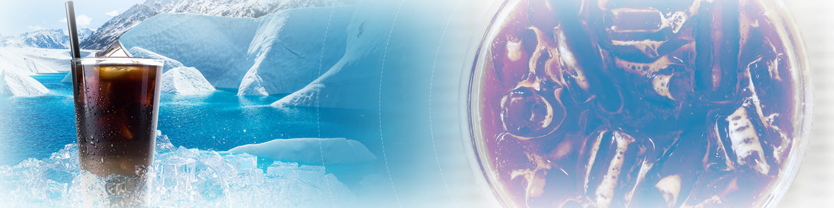 Cold pressed espresso online