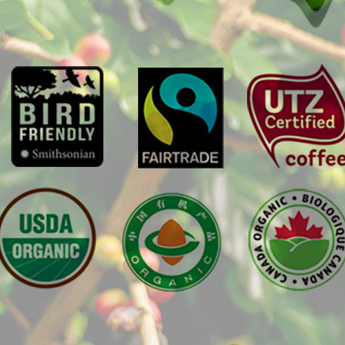 An Easy Guide to Coffee Certification