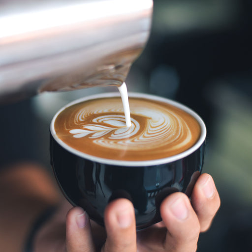 Exclusive Latte Art One-On-One Session