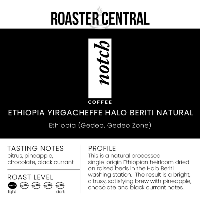 Notch Coffee Roasters - Ethiopia Yirgacheffe Halo Beriti Natural - Light Roast (340g)