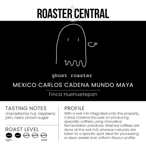 Ghost Roaster Coffee - Mexico Carlos Cadena Mundo Maya - Medium Light Roast - Flavour Profile